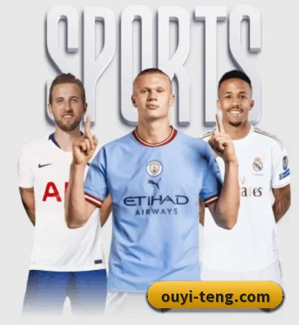 本站五个常用功能入口,赛程查询路径更短 - OUYISPORTS
